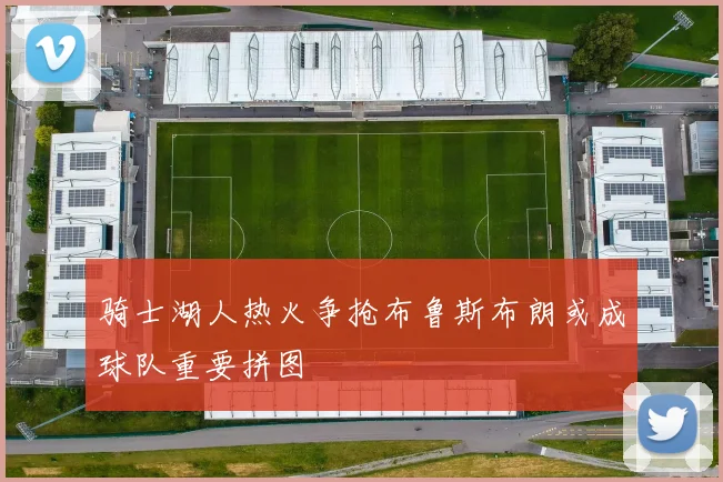 骑士湖人热火争抢布鲁斯布朗或成球队重要拼图