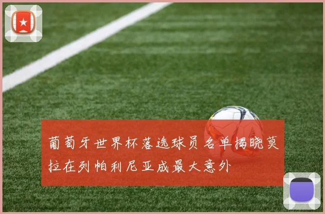 葡萄牙世界杯落选球员名单揭晓莫拉在列帕利尼亚成最大意外